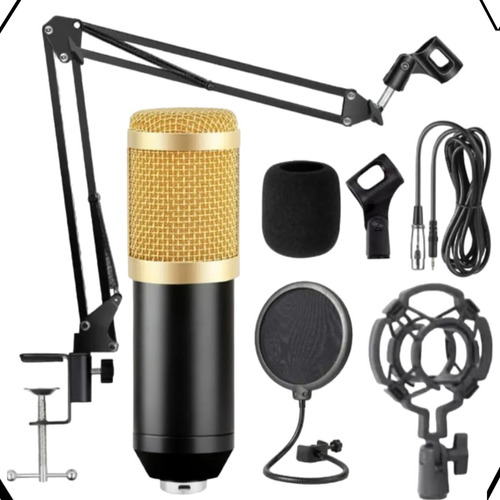 Kit Microfone Condensador Bm800 Cabo Xlr/p2 Top Cor Preto Dourado