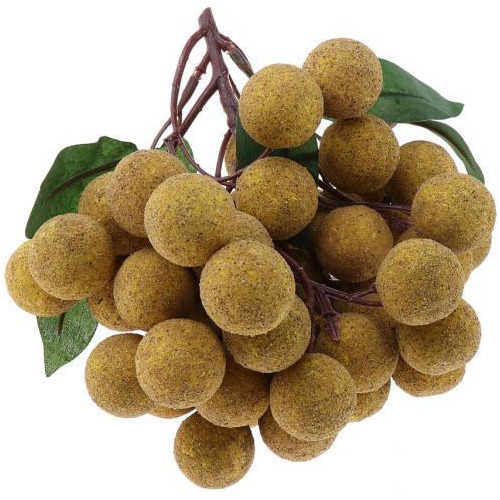 5 Modelo De Artificiales: Comida Para Niños - Longan