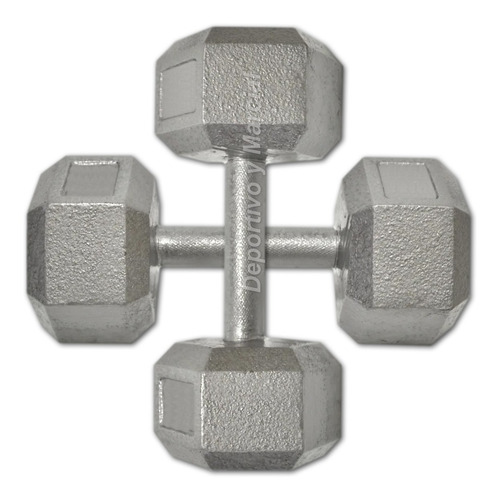 Mancuerna Especial Gris Plata De Fundicion 27,5 Kg Gym Metal