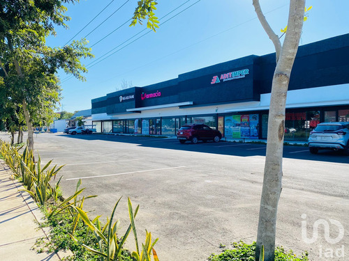 Renta Local Comercial 1 Ambiente Francisco De Montejo
