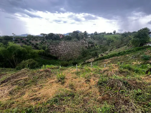 Lote En Venta Via Condina/pereira (279057451).