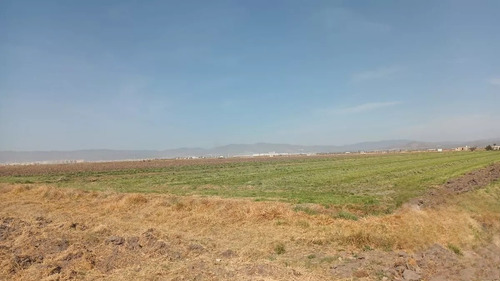 Terreno En Venta En Las Palmas, Pachuca De Soto