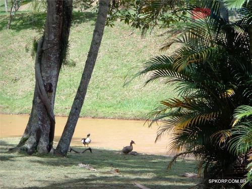 Imagem 24 de 30 de Sala Para Alugar, 60 M² - Beverly Hills - Jandira/sp - Sa0107