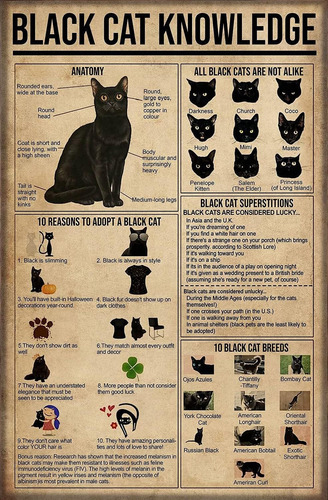 Letrero De Estaño Con Conocimiento De Gato Negro, Cartel De 