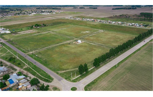 Imagen 4 de 11 de Terrenos En Venta Loteo Vicentin Avellaneda