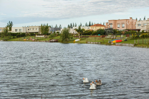 Lote Laguna #100-200 - Villa Nueva - San Marco - 1007m2 #id 5887