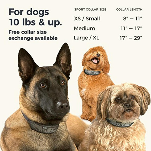 Link Akc Smart Dog Collar Gps Location Tracker, Activity