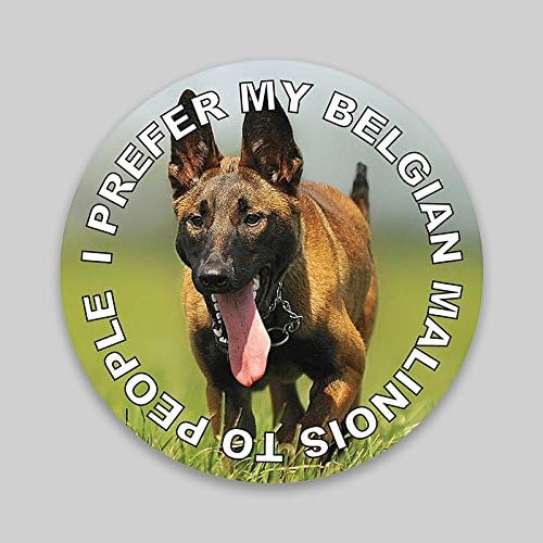 Prefiero Mi Malinois Belga Gente Cachorro Perro Vinilo ...