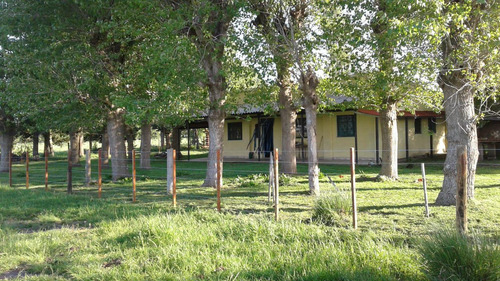 Campo Mixto En Chascomús - Permuta En La Plata