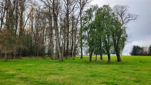 Agrícola En Venta En Paillaco