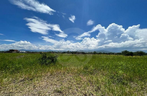 Terreno En Venta En Pinar De La Laguna 27 Atotonilco El Bajo Villa Corona