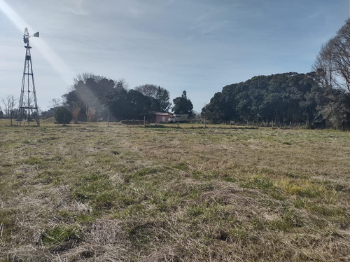 Imagen 2 de 9 de Terreno En Madariaga