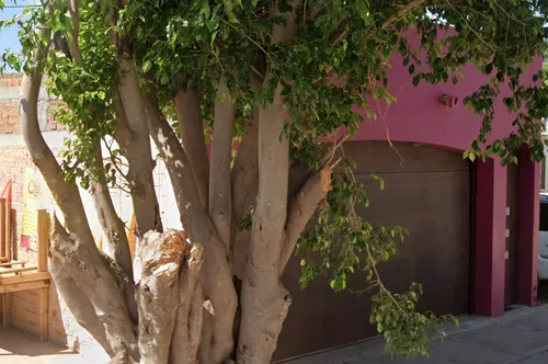 Casa En Venta, Recuperación Bancaria, Col. Jardines Del Bosque, Los Mochis, Sinaloa. Jf08