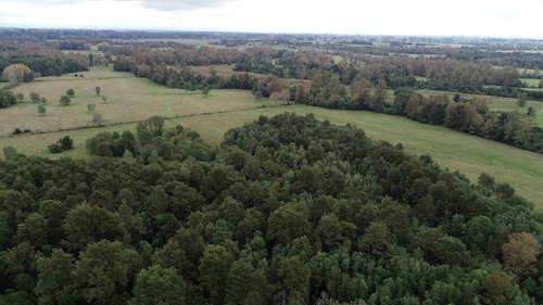 Hermoso Campo A 15 Km De Osorno