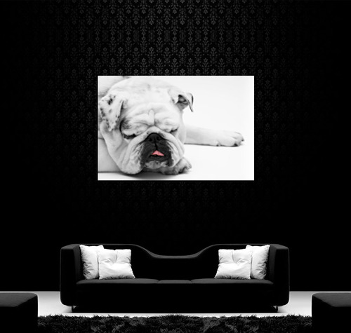 Cuadro 40x60cm Perro Bulldog Ingles Puppy Pet Mascota Amigo