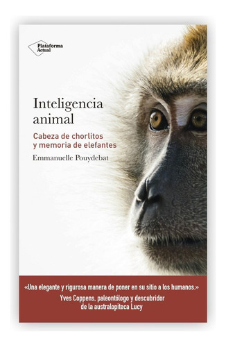 Inteligencia Animal