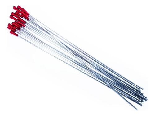 Rayos Wh-rs10-s Shimano Talla: Unidad