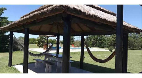Imagen 20 de 22 de Quinta Venta 5000m2 Mercedes Buenos Aires