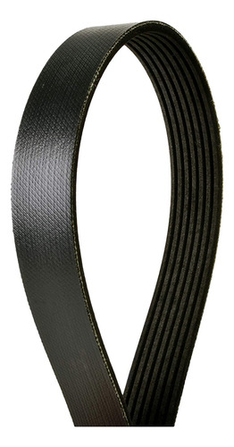 4070975 Oe Technology  S Multi-v Belt