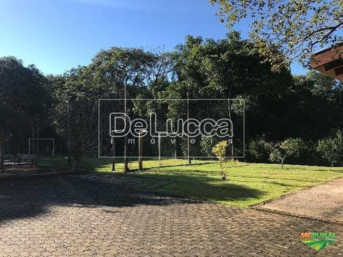 Imagem 8 de 18 de Chácara À Venda Em Jardim Independência - Ch003619