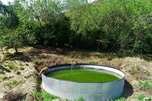 Imagen 26 de 30 de Finca Agrícola Santa Fe De Antioquia, Vereda El Tunal - Se Vende