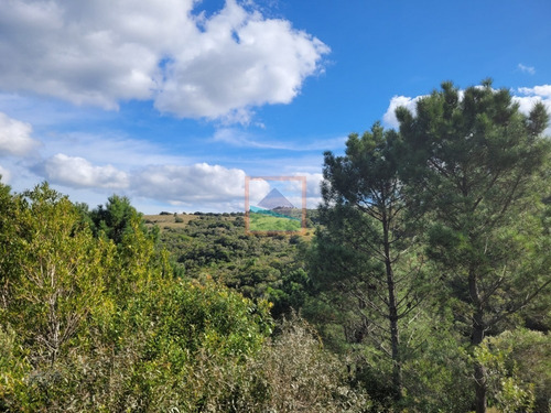 Imagen 7 de 23 de Campo Turístico 38 Hás En Zanja Del Tigre