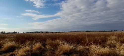 Imagen 4 de 17 de Campo 250 Hs 175 Laborables A 39 Km De Jesús María