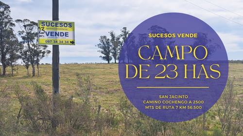 Sucesos Vende Campo De 23 Hectáreas En Camino Cochengo *san Jacinto* Con Agua Y Sombra.