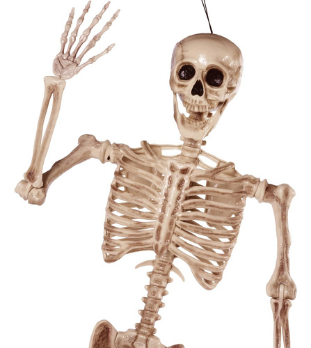 Esqueleto De Tamaño Real De 5.6 Pies Para Halloween, Huesos