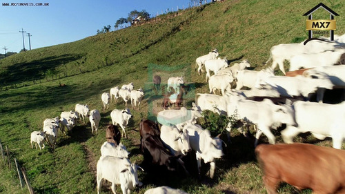 Imagem 3 de 15 de Fazenda Para Venda Em Ubaitaba, Zona Rural - 735_1-2090601