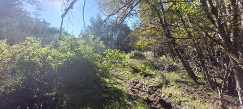 Imagen 8 de 11 de Lote De 1.759m2 Totalmente Plano En Las Balsas, Villa La Angostura