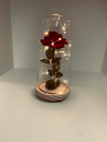 Luminária Led Rosa Com Cúpula De Vidro A Bela E A Fera 17cm | Parcelamento  sem juros