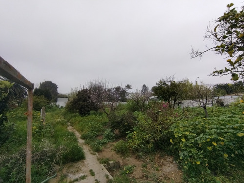 Dos Casas En Gran Terreno Barrio Residencial