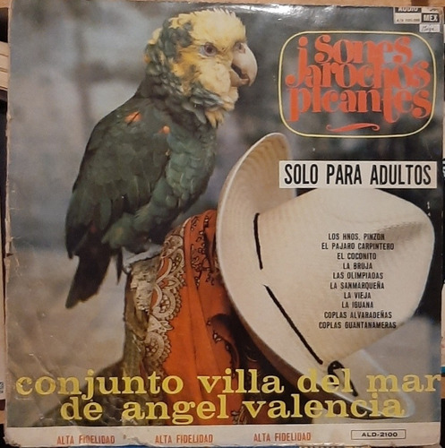 Disco Lp Conjunto Villa Del Mar Ángel Valencia Sones #5047
