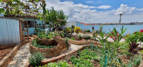 Imagem 3 de 14 de Casa - Parque Do Horto - Ref: 34747631 - L-lf9482854