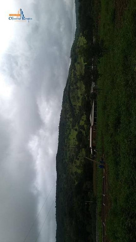 Chácara Com 3 Dormitórios À Venda, 3000 M² Por R$ 220.000 - Zona Rural - Pirenópolis/go - Ch0100