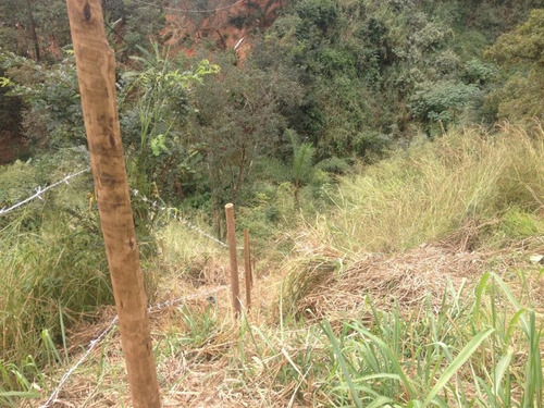 Imagem 3 de 16 de Lote Na Avenida Principal De 222m2 No Bairro Montes Claros/ribeiro De Abreu - 94975