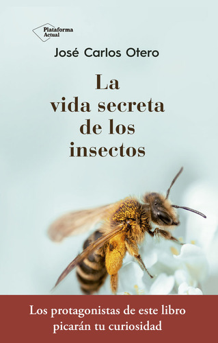 La Vida Secreta De Los Insectos, De Otero González, José Carlos. Plataforma Editorial, Tapa Blanda En Español