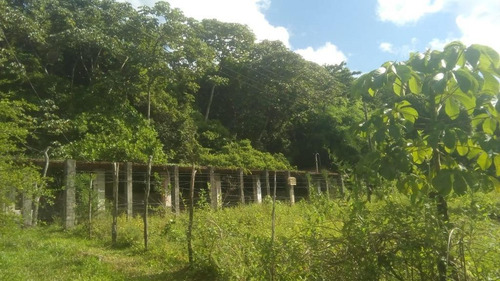 Imagem 8 de 8 de Terreno Em Guabiraba Nova Descoberta - Te0049
