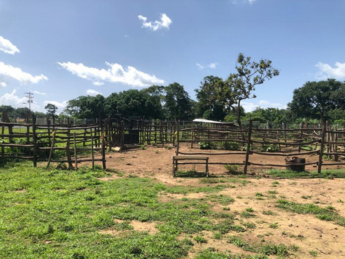Imagen 10 de 18 de Finca En Sabana Del Medio 0414-4709961