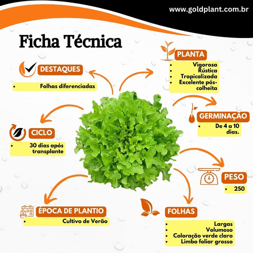 Semente De Alface Mimosa Feltrin - Envelope