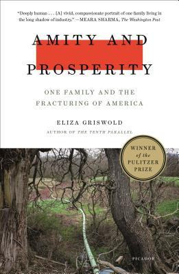 Libro Amity And Prosperity : One Family And The Fracturin...