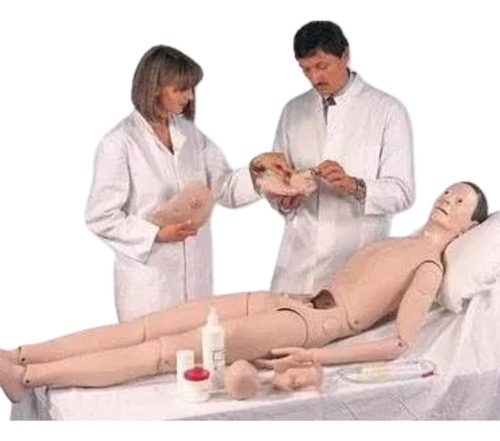 Maniqui Escuela Enfermeria Medicina Cuerpo Humano Rcp