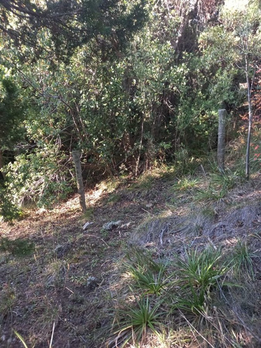 Imagen 2 de 9 de Fida Patagonia. Lote En Venta De 1326m2 Ubicado En San Martín De Los Andes