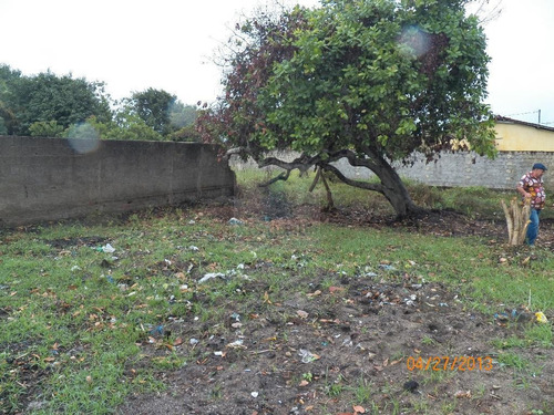 Imagem 8 de 13 de Terreno Em Catuama - Tr-05