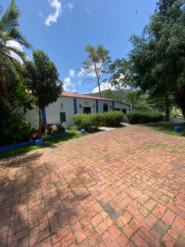 Alquiler Terreno 15.000 M2 La Guairita El Cafetal