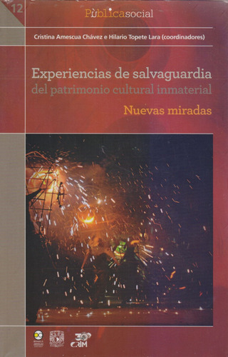 Experiencias de salvaguardia del patrimonio cultural inmaterial, de Amezcua Chávez, Cristina. Editorial Bonilla Artigas Editores, tapa blanda en español, 2015
