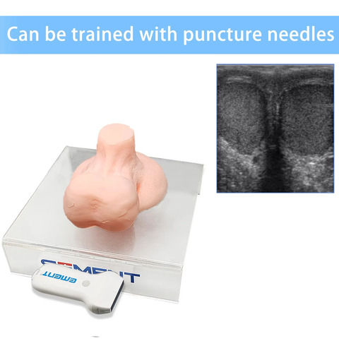 Modelo De Entrenamiento Con Punción, Biopsia Testicular Por