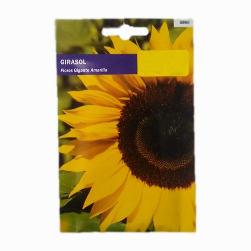 Semillas De Girasol Planta Floral Para Huertos Y Jardines