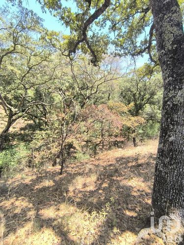 Venta Terreno 0 Ambiente La Piní